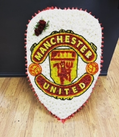 Manchester united shield