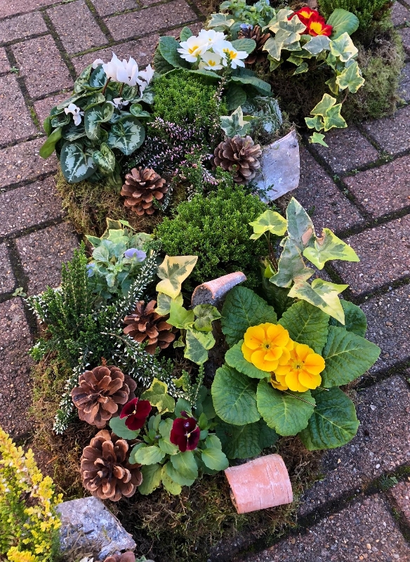 Natural Planted casket arrangement.