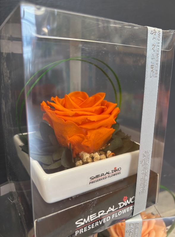 Preserved Rose in a ceramic dish