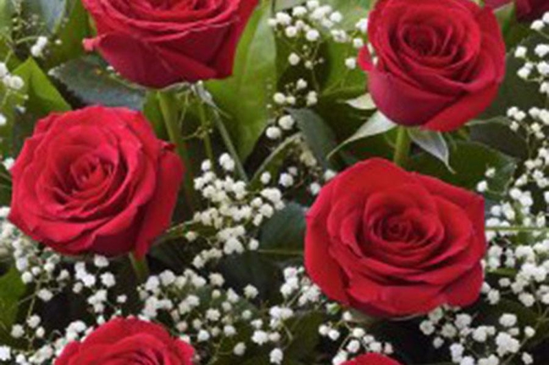 Vintage Love Classic Dozen Roses Buy Online Or Call 01767 682 286