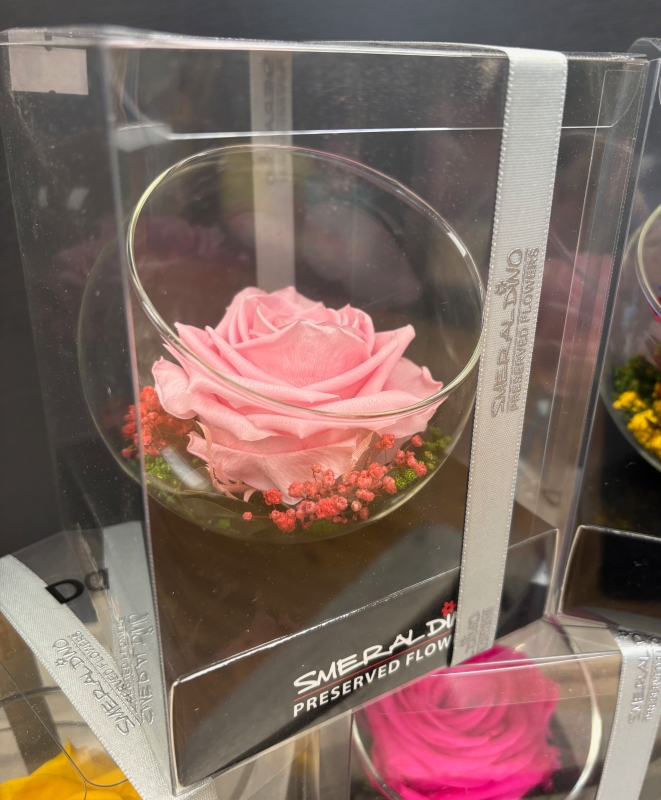 Preserved Rose in a glass bowl