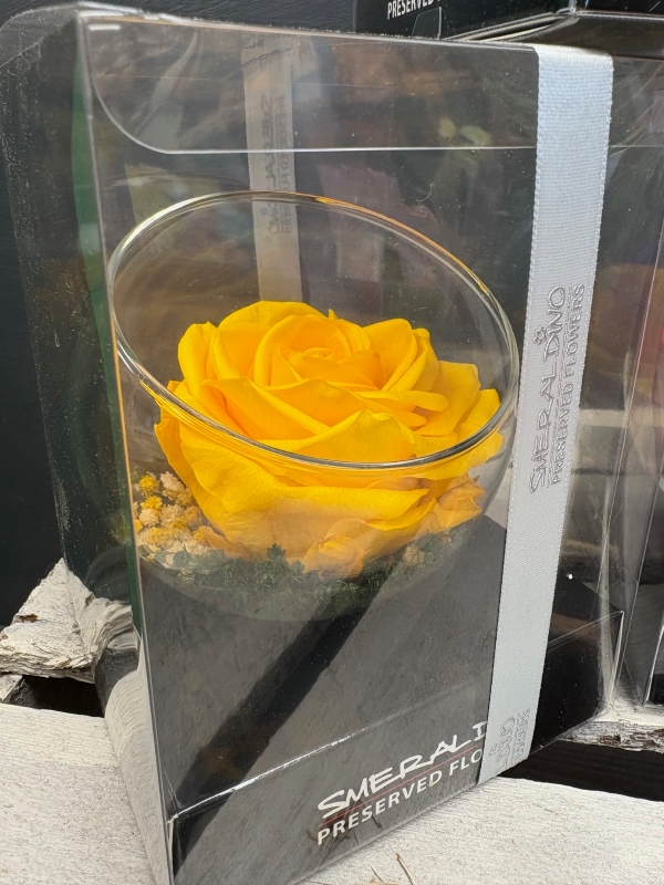 Preserved Rose in a glass bowl