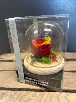 Preserved Rose Multi Coloured