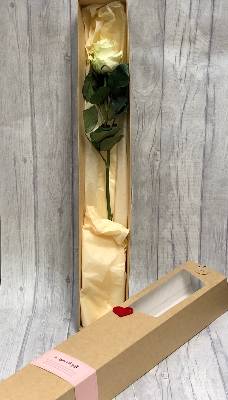 Single Boxed Rose