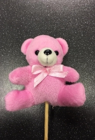 Teddy pick
