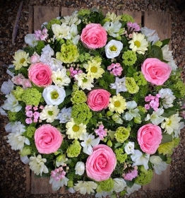 Florist choice mixed Posy pad