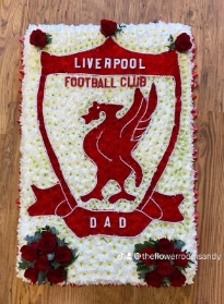 Liverpool football club shield