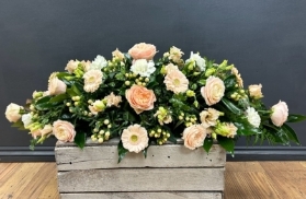 Peach and Cream Double Ended