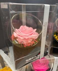 Preserved Rose in a glass bowl