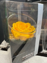 Preserved Rose in a glass bowl
