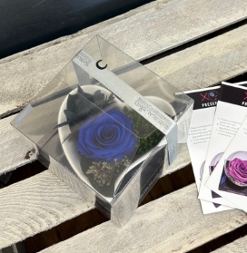 Preserved Rose in heart shaped dish