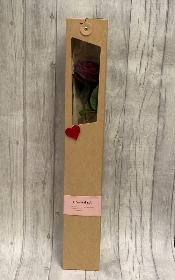 Single Boxed Rose