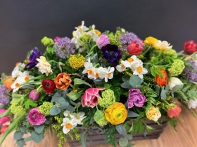 Springtime double ended spray