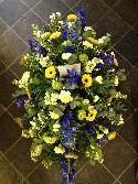 Yellow and Blue Coffin Spray