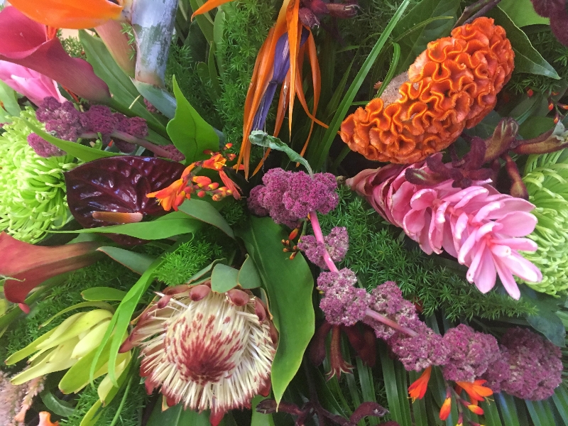 Tropical Double Ended Spray