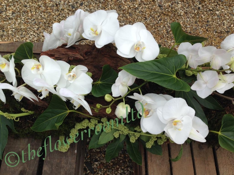 White Orchid Driftwood Spray