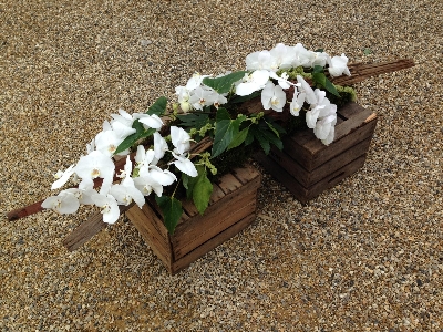 White Orchid Driftwood Spray