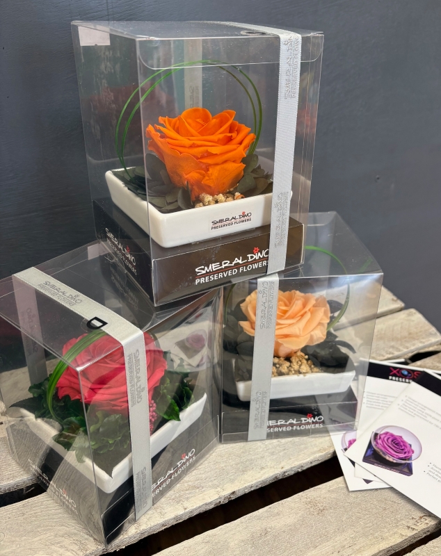 Preserved Rose in a ceramic dish