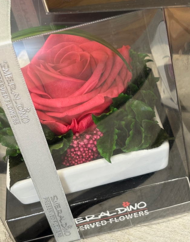 Preserved Rose in a ceramic dish