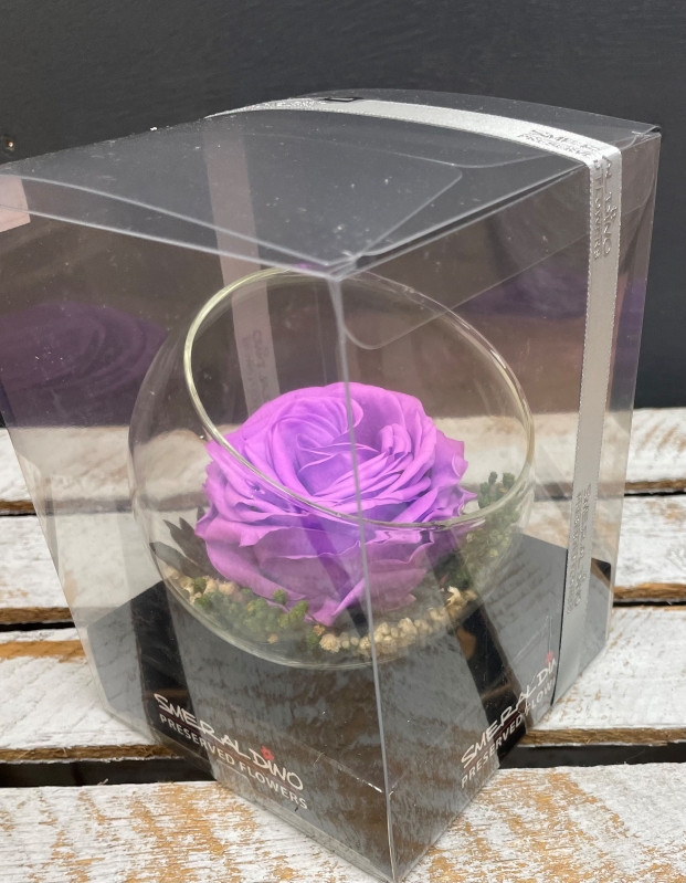 Preserved Rose in a glass bowl
