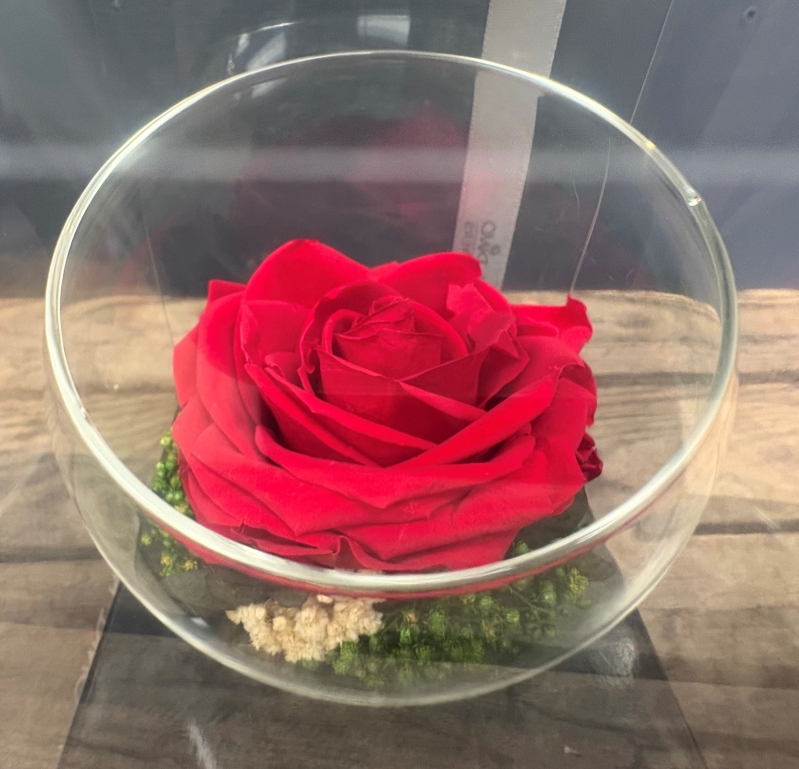 Preserved Rose in a glass bowl