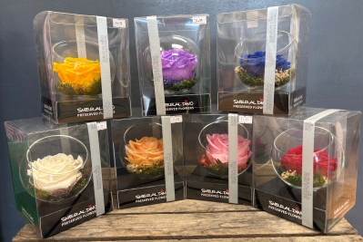 Preserved Rose in a glass bowl