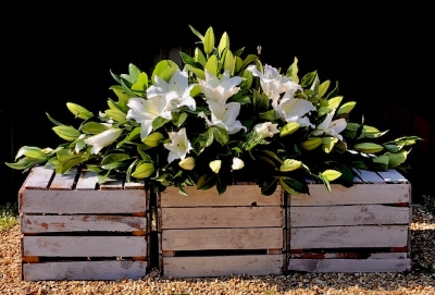 Oriental Lily Double Ended Spray