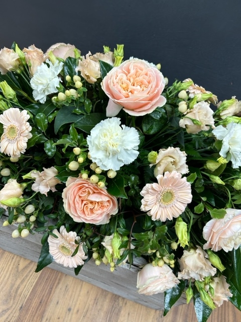 Peach and Cream Double Ended