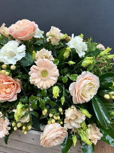 Peach and Cream Double Ended