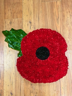 Poppy tribute