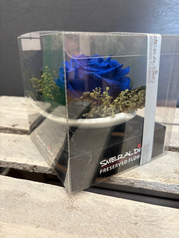 Preserved Rose in a triangular saucer