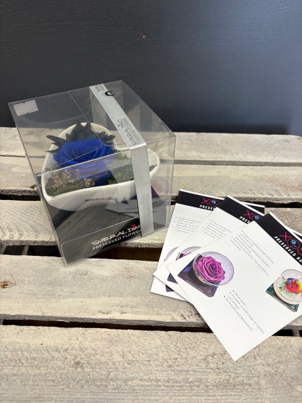 Preserved Rose in heart shaped dish