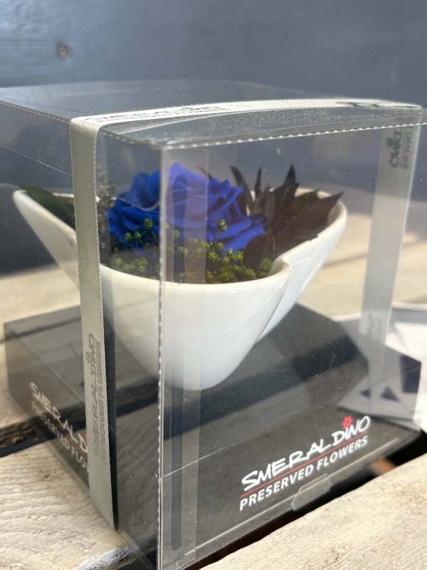 Preserved Rose in heart shaped dish