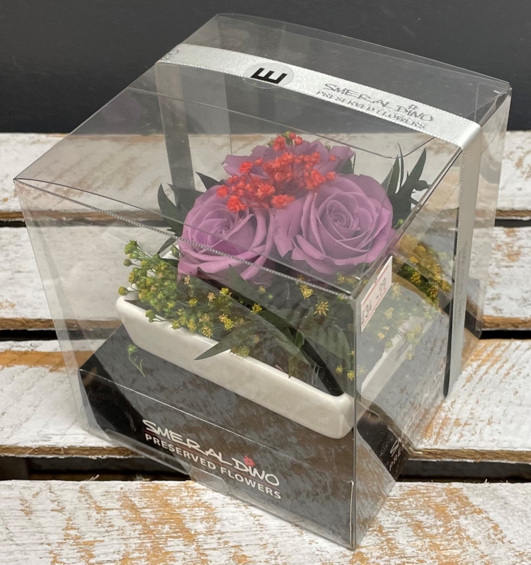 Preserved Spray Rose in a square ceramic dish
