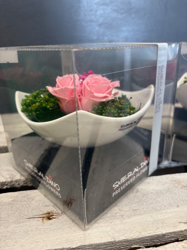 Preserved spray rose in a ceramic dish
