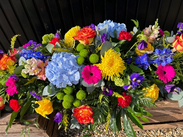 Rainbow double ended