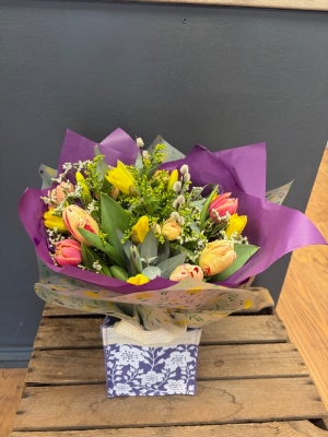 Spring florist choice Aqua pack