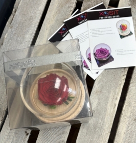 Preserved Rose in a glass dome