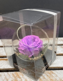Preserved Rose in a glass bowl