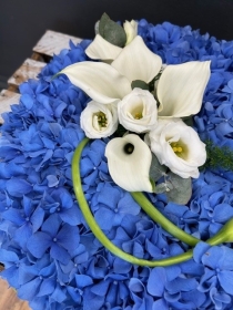 Hydrangea posy pad
