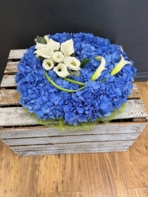Hydrangea posy pad
