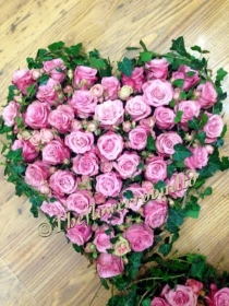 Pink rose and spray rose heart with soft ivy trails