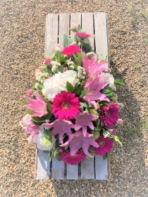 Pink Single Ended Spray