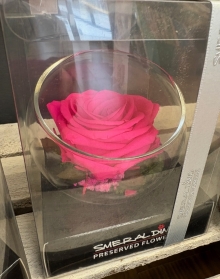 Preserved Rose in a glass bowl