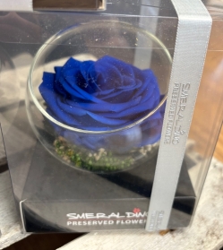 Preserved Rose in a glass bowl