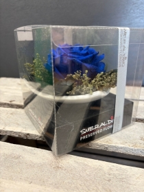 Preserved Rose in a triangular saucer