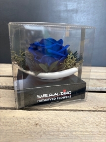 Preserved Rose in a triangular saucer