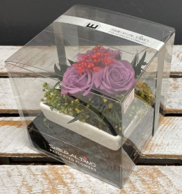 Preserved Spray Rose in a square ceramic dish