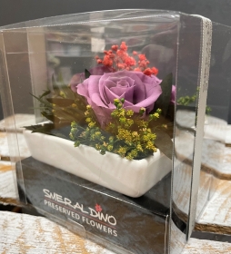 Preserved Spray Rose in a square ceramic dish