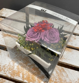 Preserved Spray Rose in a square ceramic dish
